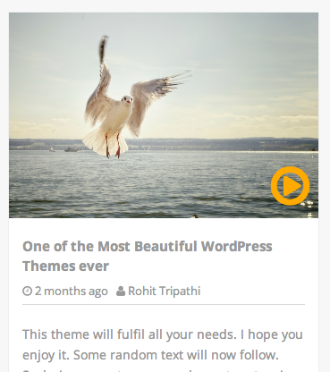 Video Posts