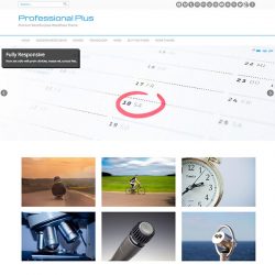 Professional Plus   Premium MultiPurpose WordPress Theme copy