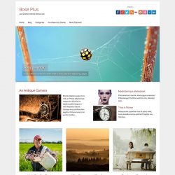 bose plus screenshot