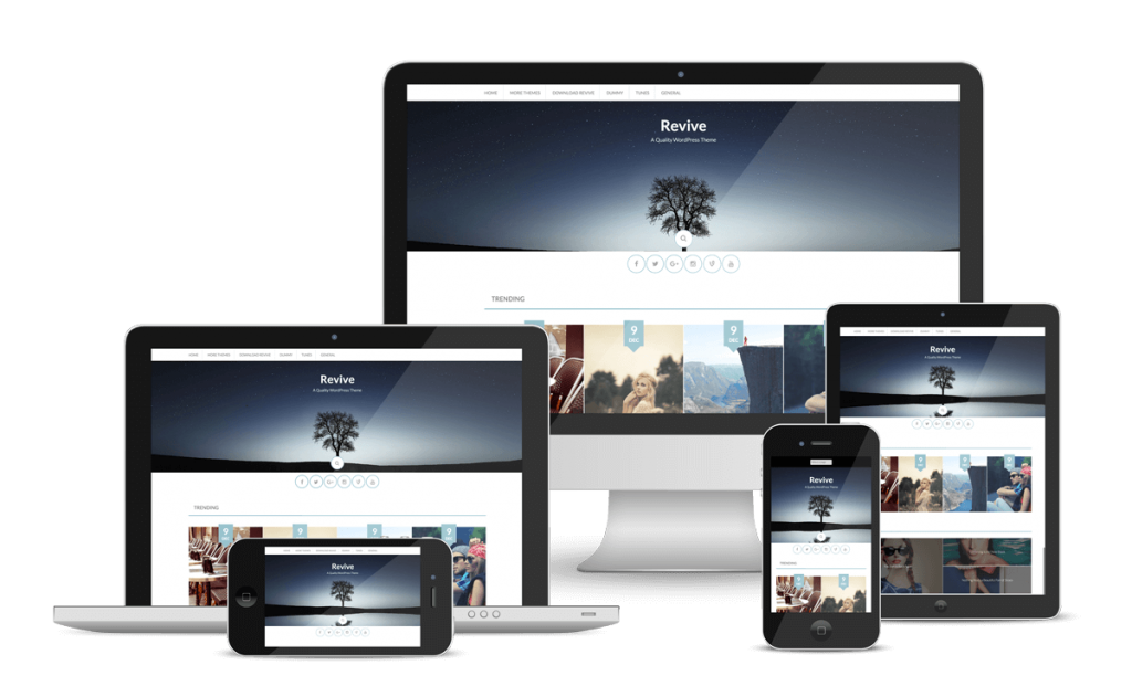 Style-01-03-1024x631.png