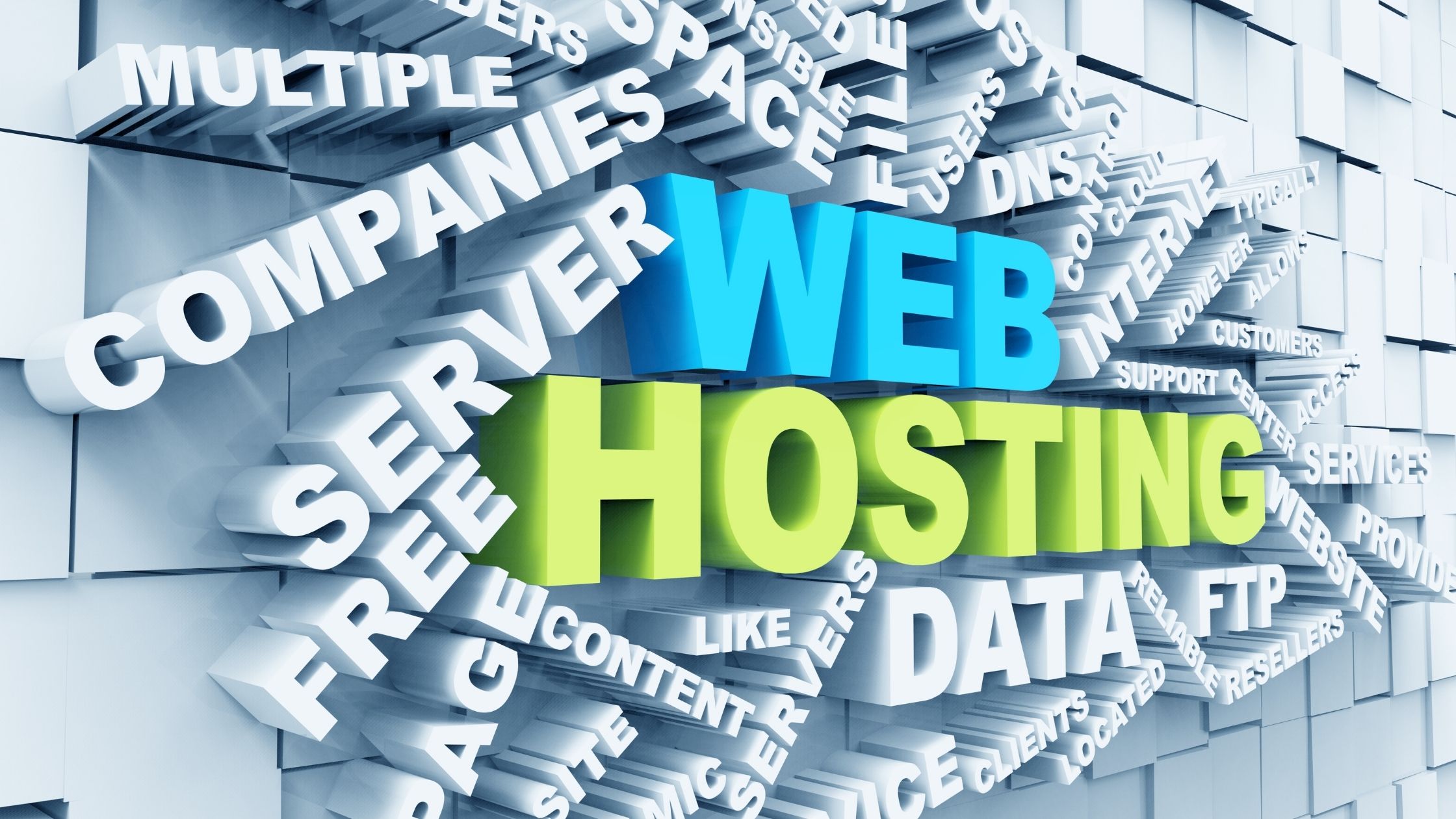 essay on web hosting